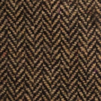 jodelka-brazowa-2024